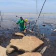 Abrasi Pesisir Bengkalis dan Marwah Melayu : Tantangan Riau Istimewa di Tengah Kasus PEN Mangrove