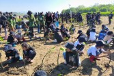 Hari Bumi 2026, Sekolah Alam Pacitan Tanam 6.600 Mangrove untuk Perkuat Pesisir