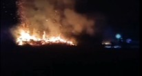 Api Berkobar Malam Hari, Lebih dari 10 Hektare Lahan Gambut di Muaro Jambi Terbakar