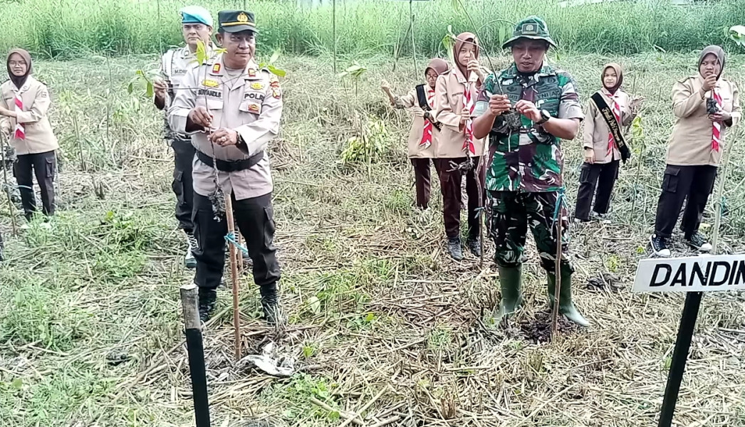 Lestarikan Alam, Kapolsek Kuindra Tanam Pohon Mangrove Bersama TNI