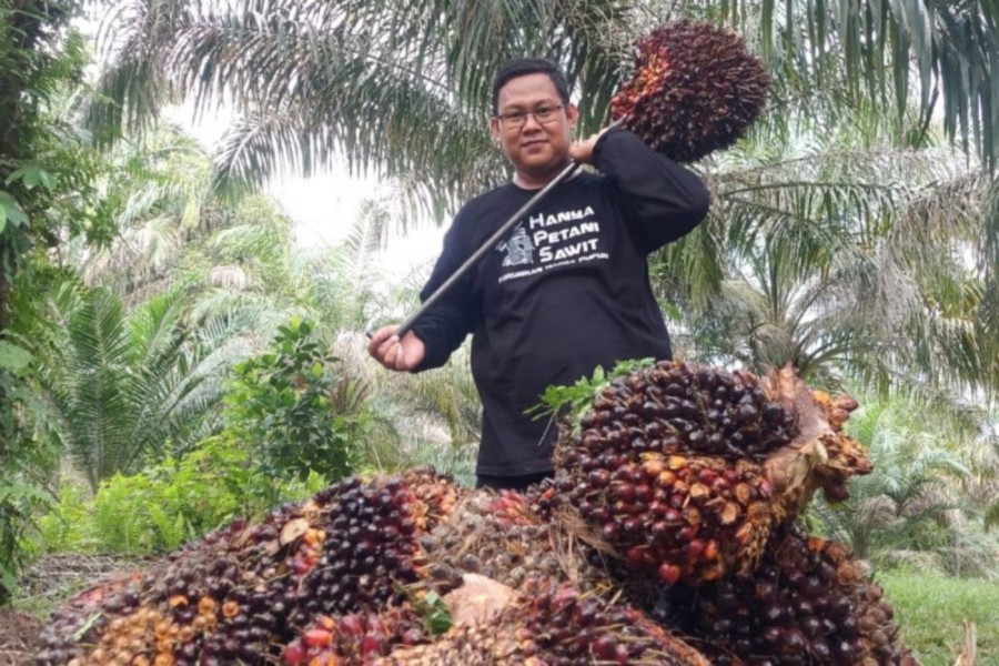 Kuliah Gratis! Beasiswa SDM Sawit 2026 Kembali Dibuka, Catat Linknya