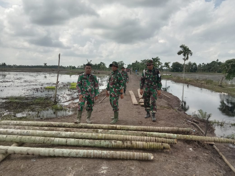 Dandim Turun Langsung Cek Kesiapan  Gerakan Penanaman 3000 Hektar Padi