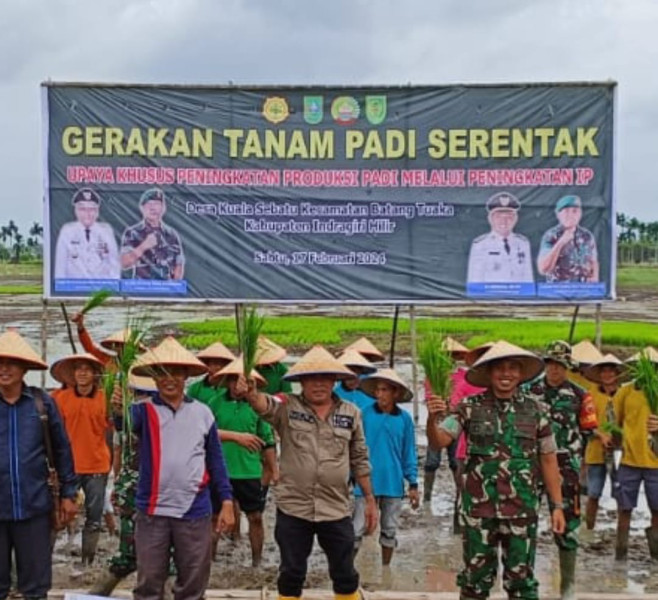 Gerakan Tanam Serentak Spektakuler 3000 Ha, Kodim 0314/Inhil Mengejar Impian Swasembada Beras yang Pernah Hilang di Inhil