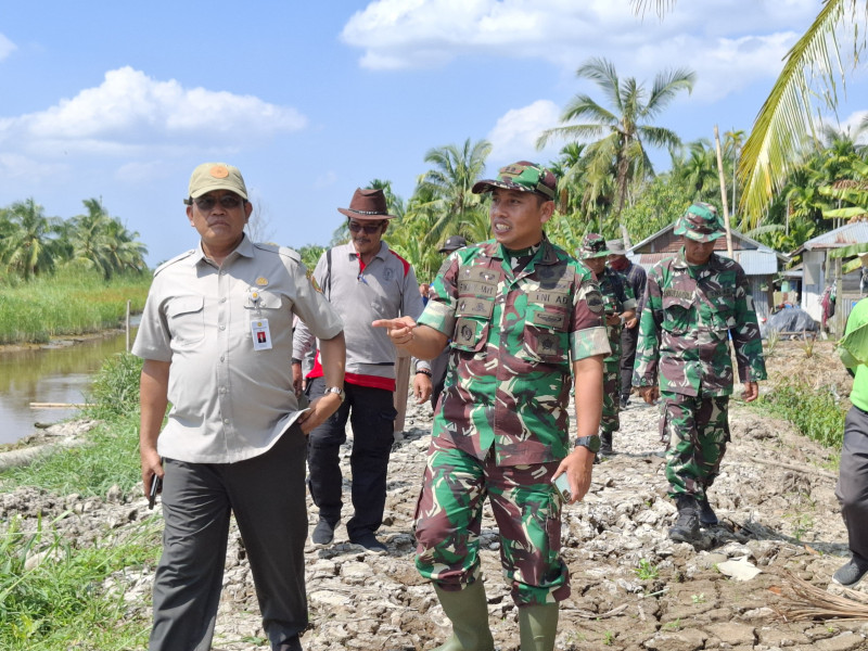 Dandim 0314/Inhil Dampingi Tim Survei Oplah Tinjau Pengerjaan Lahan di Sungai Batang