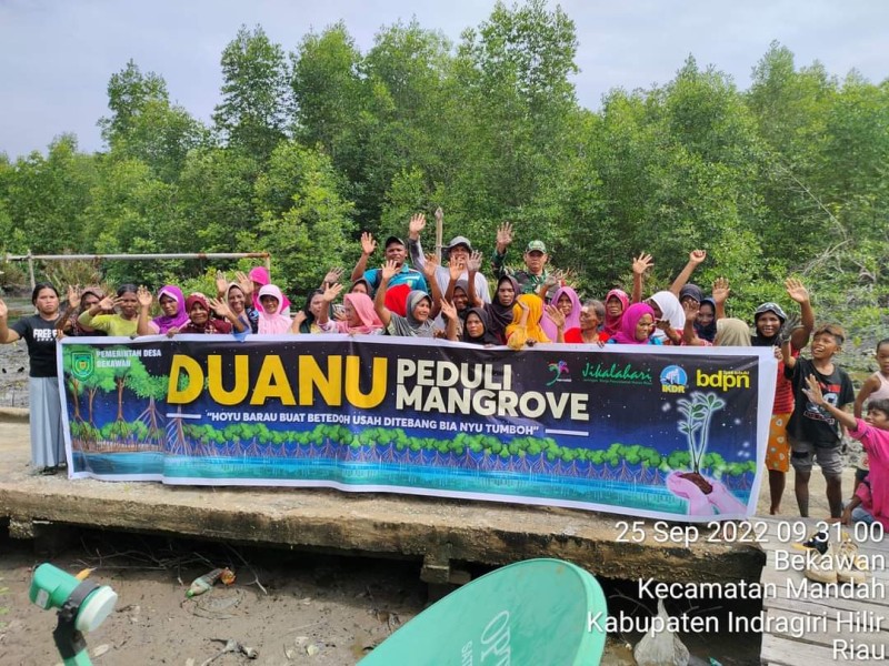 Blue Carbon Inhil Alarm Keadilan bagi Daerah