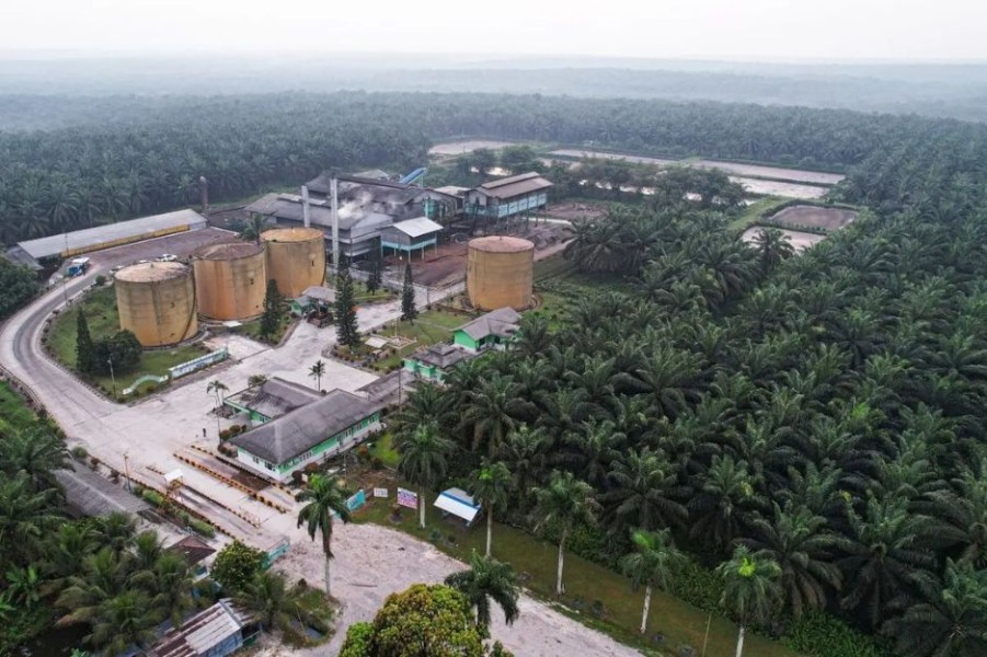 Sektor Perkebunan Indonesia Penopang Ekonomi Nasional