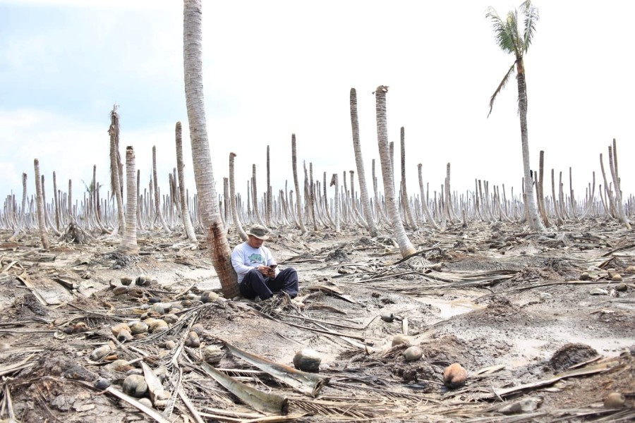 “Menjaga Tuah, Melindungi Marwah : Saatnya Selamatkan Mangrove dan Kelapa Rakyat Inhil”